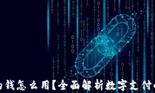 数字钱包里的钱怎么用?全面解析数字支付的便利与安全
