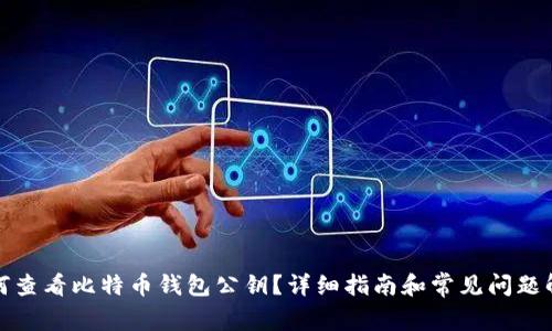 如何查看比特币钱包公钥?详细指南和常见问题解答