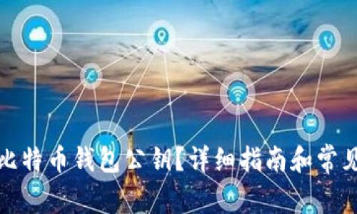 如何查看比特币钱包公钥?详细指南和常见问题解答