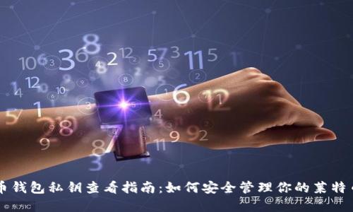 莱特币钱包私钥查看指南:如何安全管理你的莱特币资产