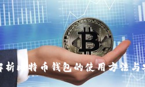 全面解析比特币钱包的使用方法与安全性