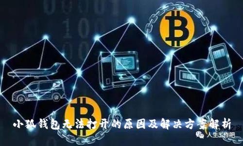 小狐钱包无法打开的原因及解决方案解析