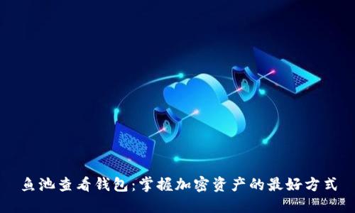 鱼池查看钱包:掌握加密资产的最好方式