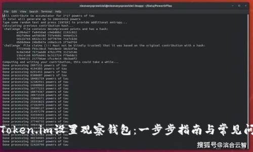 如何在Token.im设置观察钱包:一步步指南与常见问题解答