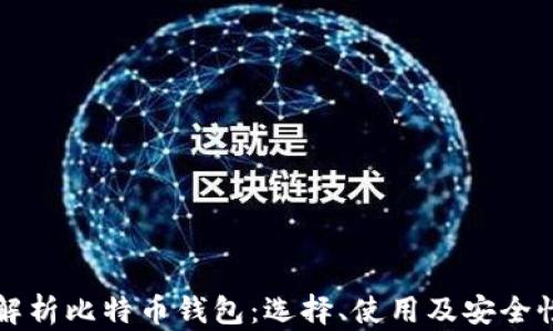 全面解析比特币钱包:选择、使用及安全性指南