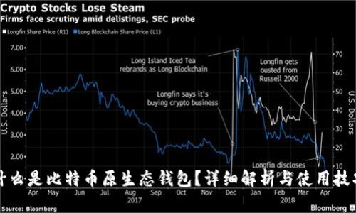 什么是比特币原生态钱包?详细解析与使用技巧