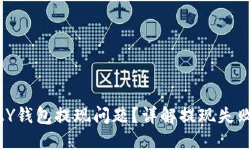 如何轻松解决KDPAY钱包提现问题?详解提现失败的原因与解决方法