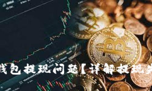 如何轻松解决KDPAY钱包提现问题?详解提现失败的原因与解决方法
