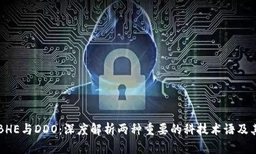 解密BHE与DDO:深度解析两种重要的科技术语及其应用