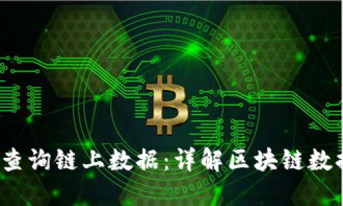 如何通过钱包地址查询链上数据:详解区块链数据查询的方法与技巧