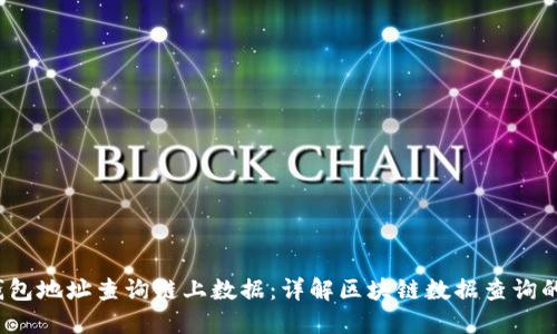 如何通过钱包地址查询链上数据:详解区块链数据查询的方法与技巧