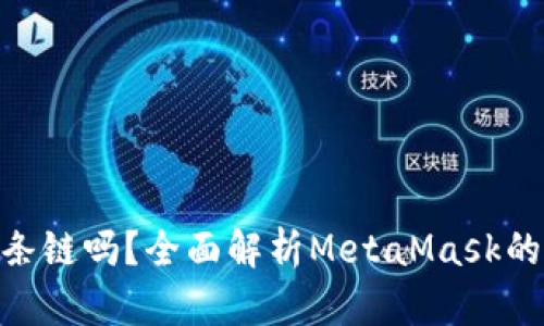 MetaMask支持多条链吗?全面解析MetaMask的链支持与使用方法