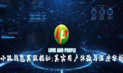 小狐钱包真假揭秘：真实用户体验与深