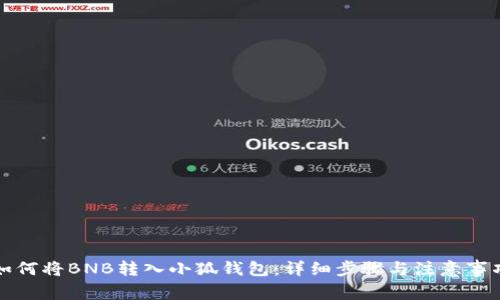 如何将BNB转入小狐钱包:详细步骤与注意事项