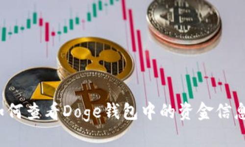 如何查看Doge钱包中的资金信息?