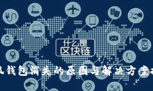小狐钱包消失的原因与解决方案揭秘
