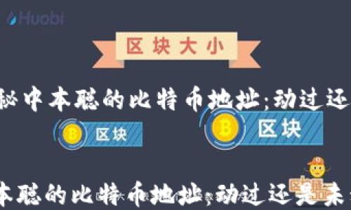 揭秘中本聪的比特币地址:动过还是未动?
揭秘中本聪的比特币地址:动过还是未动?