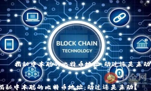 揭秘中本聪的比特币地址:动过还是未动?
揭秘中本聪的比特币地址:动过还是未动?