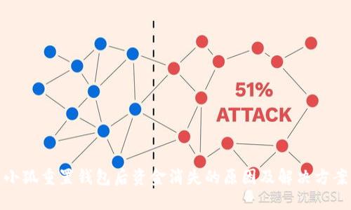 小狐重置钱包后资金消失的原因及解决方案