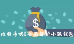 小狐钱包可以存比特币吗？全面解析小