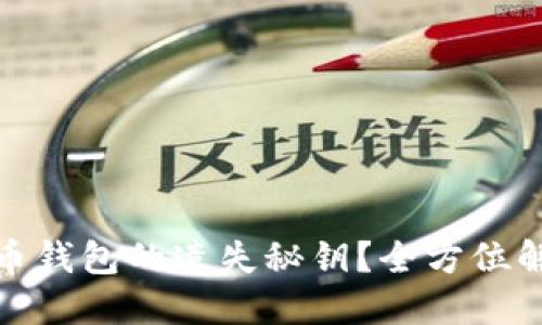如何找回瑞波币钱包的遗失秘钥？全方位解读与实用步骤