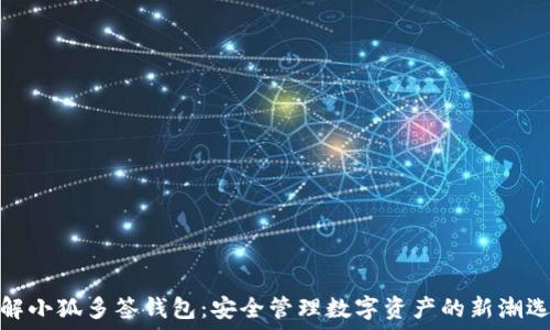 了解小狐多签钱包:安全管理数字资产的新潮选择