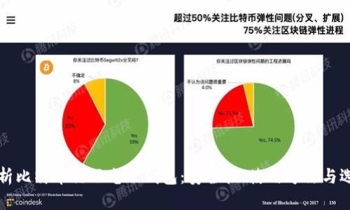 全面解析比特币钻石电子钱包:安全性、使用方法与选择指南
