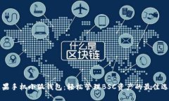 苹果手机小狐钱包：轻松管理BSC资产的