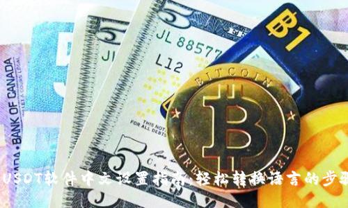 USDT软件中文设置指南:轻松转换语言的步骤