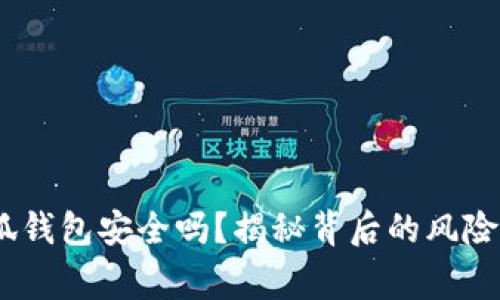 /山寨版小狐钱包安全吗?揭秘背后的风险与防范措施