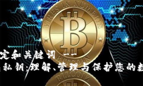 !-- 设定和关键词 --
Bit钱包私钥:理解、管理与保护您的数字资产