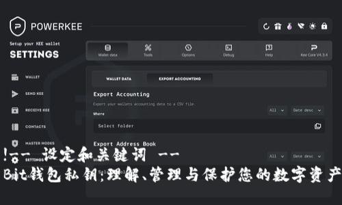 !-- 设定和关键词 --
Bit钱包私钥:理解、管理与保护您的数字资产