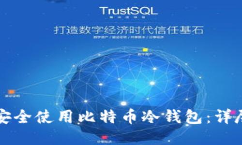 如何安全使用比特币冷钱包:详尽指南