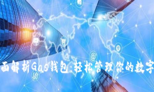 : 全面解析Gas钱包:轻松管理你的数字资产