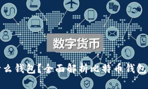 存储比特币用什么钱包?全面解析比特币钱包的选择与安全性