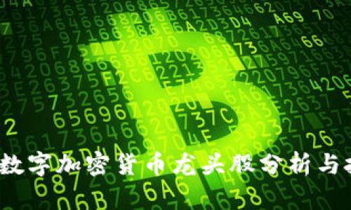2023年数字加密货币龙头股分析与投资指南