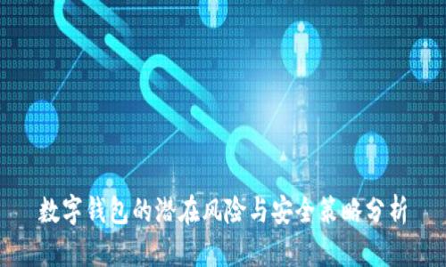 数字钱包的潜在风险与安全策略分析