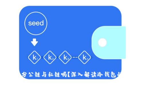 冷钱包究竟分公链与私链吗?深入解读冷钱包的分类与应用