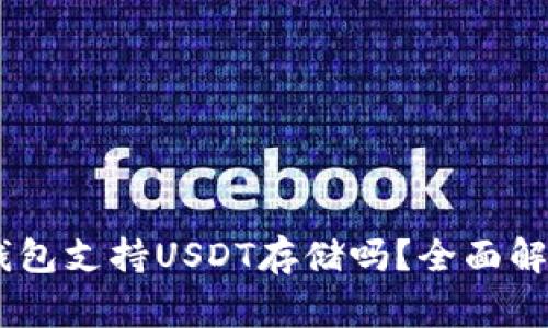 Ledger硬件钱包支持USDT存储吗?全面解析与使用指南