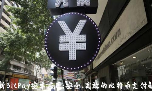 全面解析BitPay安卓应用:安全、高效的比特币支付解决方案