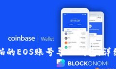 如何将竞拍的EOS账号导入钱包：详细步
