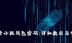 如何安全打开小狐钱包密码：详细教程