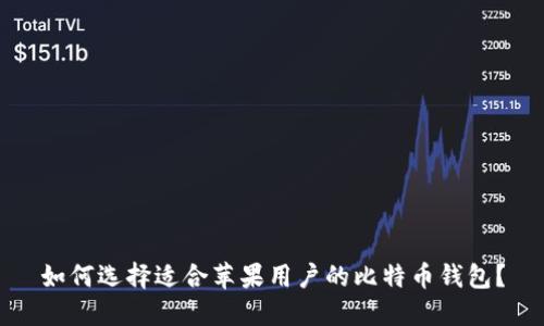 如何选择适合苹果用户的比特币钱包?