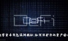 数字货币钱包漏洞揭秘：如何保护你的