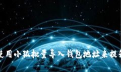 如何使用小狐批量导入钱包地址来提升