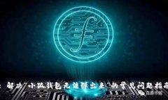 : 解决“小狐钱包无法弹出来”的常见