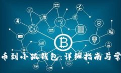 如何轻松充币到小狐钱包：详细指南与