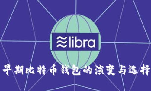 早期比特币钱包的演变与选择