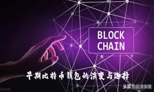 早期比特币钱包的演变与选择