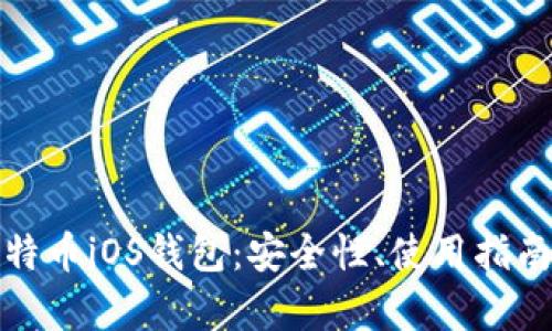 全面解析比特币iOS钱包：安全性、使用指南及市场选择